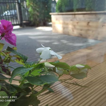 New Big Loft Apartments Jurmala With Free Secured Parking Eksteriør bilde