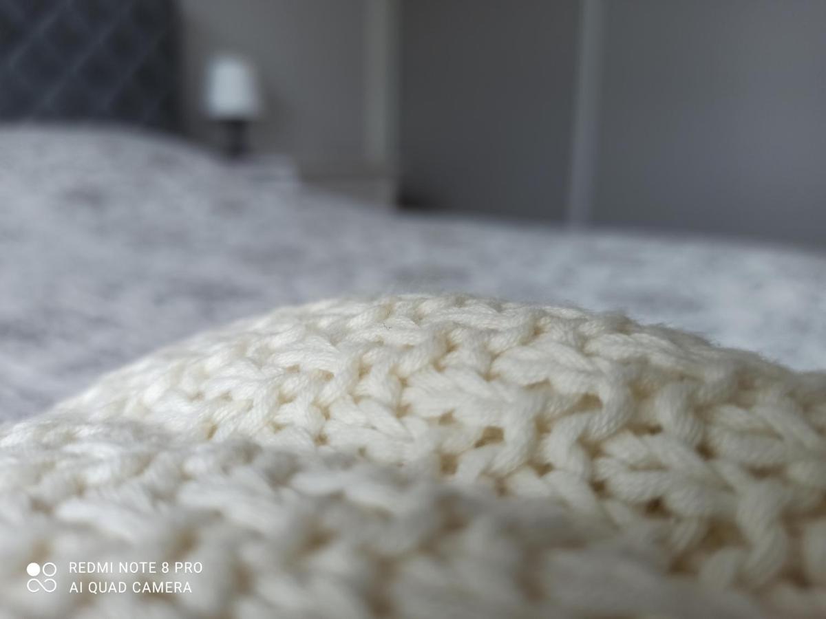New Big Loft Apartments Jurmala With Free Secured Parking Eksteriør bilde